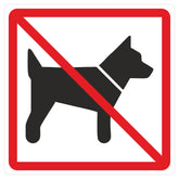 Türschild Hunde verboten 100 x 100 mm